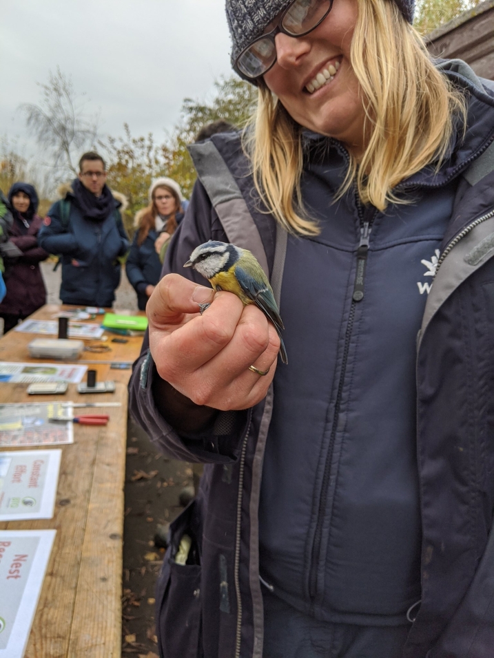 Reserve Manager Louise Clewley holding a bird that she is ringing